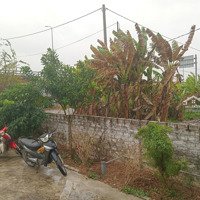 Cho Thuê Mặt Bằng, Có Sẵn Nhà Cấp 4
