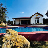 Chính Chủ Bán Homestay Sẵn Giá Rẻ Chỉ Việc Về Kinh Doanh Hòa Bình