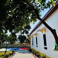 Chính Chủ Bán Homestay Sẵn Giá Rẻ Chỉ Việc Về Kinh Doanh Hòa Bình