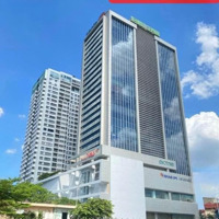 Ban Quản Lí Cho Thuê 200M2 - 1300M2 Mbkd, Văn Phòng Tại Mipec Tower 229 Tây Sơn Đống Đa Hà Nội.
