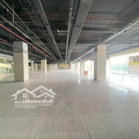 Ban Quản Lí Cho Thuê 200M2 - 1300M2 Mbkd, Văn Phòng Tại Mipec Tower 229 Tây Sơn Đống Đa Hà Nội.