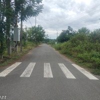 Bán Đất Tđc Hoà Ninh Nhà Vườn Trục Chính Siêu Đẹp Tại Khu Du Lịch Bà Nà Hills - Hoà Vang - Đà Nẵng