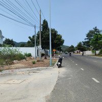 Khai Xuân Lên Lô Đất Long Hảimặt Tiềnnhựa
