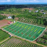 Phú Xuân- Krong Năng Trên 500M2 Phủ Hồng Cách Nhựa Chỉ 500M Đường Oto Tới Đất Kdc Điện Đầy Đủ