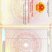 Bán Đất Đường 49, Hiệp Bình Chánh, Thủ Đức, 4,1 Tỷ, 50,1M2, Giá Ưu Đãi, View Đẹp