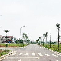 Siêu Hot. Đất Nền Khu Công Nghiệp Bắc Giang Chỉ Từ 1,9 Tỷ/Lô. Sẵn Sổ Đỏ ,Kinh Doanh Sầm Uất