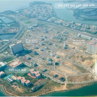 Bán Đất Khu An Phú Thịnh Quy Nhơn. Diện Tích Đa Dạng. Giá Tốt Nhất Từ 22 Triệu/M2. Giá Tốt Nhất