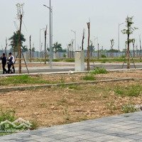Mở Bát Đầu Năm. Duy Nhất 5 Suất Ngoại Giao Đất Nền Gần Khu Công Nghiệp Bắc Giang Giá Khoảng 2 Tỷ/Lô