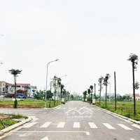 Mở Bát Đầu Năm. Duy Nhất 5 Suất Ngoại Giao Đất Nền Gần Khu Công Nghiệp Bắc Giang Giá Khoảng 2 Tỷ/Lô