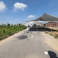 Bán Gấp Đất Dịch Vụ Di Trạch, Hoài Đức. Diện Tích 110M2 Giá Bán 14,5 Tỷ. Liên Hệ: 0966761190