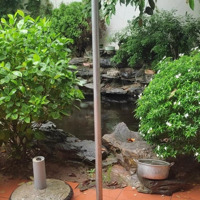 Bán Nhà Vườn Trung Tâm Tp Sầm Sơn