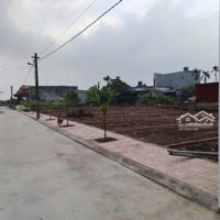 Bán Đất Nền Sát Biển Cạnh Khu Cn Visip Ql37B Quất Lâm Nam Định 100M 990 Triệu