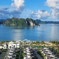 Căn Góc Đẹp, Sát Biển Cần Tìm Chủ Nhân Mới