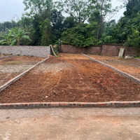 Cần Bán 60M Thắng Trí, Minh Trí - Có Ra Lộc Khai Xuân