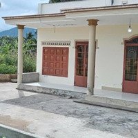 Bán Đất Tặng Nhà Vườn 3 Phòng Ngủ. Bình Lộc, Diên Khánh, Khánh Hòa. 400M2, 1,2 Tỷ