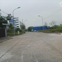 Gia đình tôi cần thanh lý nhanh lô đất tại TDC Đồng Hoà 3, Kiến An