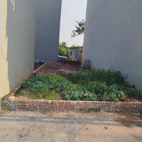 Đất Đẹp Hiếm Đường Ô Tô Tránh Giá Rẻ Khu Đấu Giá Kim Sơndiện Tích74.8M2. Giá Bán 66 Triệu/ M2