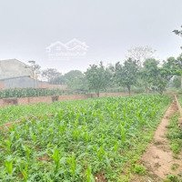 Bán Gấp 4 Ô Liền Kề Cách Khu Đô Thị Tây Nam Việt Trì Chỉ 3 Phút Di Chuyển