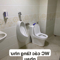 Cho Thuê Tầng 4 Làm Văn Phòng, Số 24A Ngõ 20 Trần Kim Xuyến Diện Tích: 75M2, Đường 3 Ô Tô Tránh Nhau