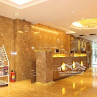Chính Chủ Bán Nhà Mặt Phố 28 Nguyễn Hy Quangdiện Tích48Mmặt Tiền4M X 5 Tầng Thoáng Sau 3M Giá Bán 22.9 Tỷ