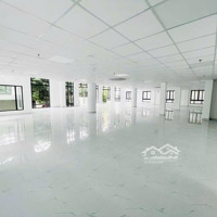 Cho Thuê Tòa Nhà Mặt Tiền Rẻ Đẹp! 79Bis Hoàng Hoa Thám Bình Thạnh
