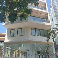 Cho Thuê Nhà Mặt Tiền Trần Đình Xu Gần Trần Hưng Đạo Phường Nguyễn Cư Trinh Quận 1