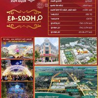 Lựa Chọn Vàng Giữa Lòng Hoàng Gia