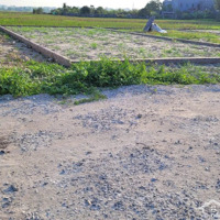 Cơ Hội Sở Hữu Lô Đất 2 Mặt Tiền Đắc Địa Gần Kcn Đông Anh - Giá Đầu Tư Tốt Nhất Khu Vực!