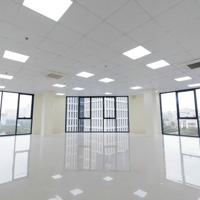 Cho Thuê Tòa Văn Phòng Hàng Bài, Hoàn Kiếm, 135M2 X 9 Tầng, Thang Máy, Pccc Phù Hợp Vp, Spa