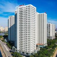 Chỉ 46 Triệu/M Sở Hữu Căn Hộ 3 Ngủ Tại X2 Đại Kim, Nhà Ở Thương Mại Phục Vụ Tđc, Liên Hệ: 0368945632
