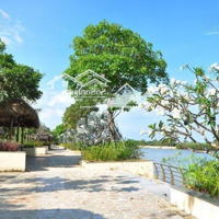 Bán Đất Khu Du Lịch Sinh Thái Tam Đa Bcr Gần Vành Đai 3, Giá Chỉ 38 Tr/M2 Rẻ Nhất Kv. Liên Hệ: 0937988390