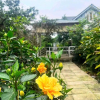 Nhà Vườn Nho Nhỏ Xinh Xinh Cho Anh Chị Yêu Thiên Nhiên