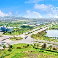 Chính Thức Ra Mắt Dự Án Hót Nhất 2025 The Greenery Hải Phòng
