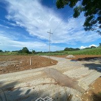 Hàng Hiếm Tại Xã Thạch Sơn, Thạch Thành, Thanh Hóa, 175 Triệu, 216 M2