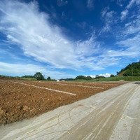 Hàng Hiếm Tại Xã Thạch Sơn, Thạch Thành, Thanh Hóa, 175 Triệu, 216 M2