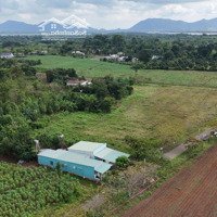 Siêu Phẩm Đầu Tư - Đất 4.2Ha Xã Láng, Châu Đức, Bà Rịa - Vũng Tàu