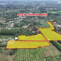 Siêu Phẩm Đầu Tư - Đất 4.2Ha Xã Láng, Châu Đức, Bà Rịa - Vũng Tàu