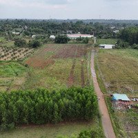 Siêu Phẩm Đầu Tư - Đất 4.2Ha Xã Láng, Châu Đức, Bà Rịa - Vũng Tàu