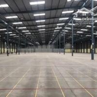 Bán nhà xưởng huyện Châu Thành, tỉnh Tiền Giang.