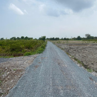 Đất Làm Nhà Vườn Ven Sông Hẻm Xe Hơi Tại Nhơn Trạch Giá Bán 850 Triệu Cho 1000M2.Diện Tích2800M2 Sổ Riêng