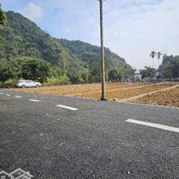 Bán Đất Giáp Kcn Bảo Hiệu Quy Mô 530Ha Chỉ Hơn 200 Triệu/Lô 85M2, Full Đất Ở Bao Sổ Hồng Tại Yên Thủy