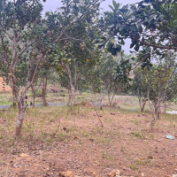 Bán Lô Đất Nghỉ Dưỡng 1600M Có 400M Thổ Cư