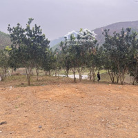 Bán Lô Đất Nghỉ Dưỡng 1600M Có 400M Thổ Cư