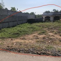 1.232M Có 983.6M Thổ Cư 1/ Nguyễn Xiển, Cách Vinhome Grand Park 500M Giá Bán 39Tỷ Tl