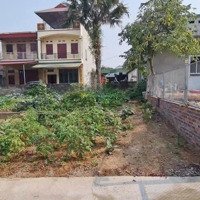Bán Đất Thanh Miếu Giá Tốt Nhất Đầu Năm 2025