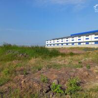 Bán đất xây dựng xưởng 1.8ha KCN Đức Hòa 3, Huyện Đức Hòa, Long An