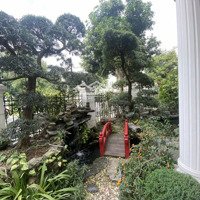 Bán Bt Đơn Lập Góc Vinhomes The Harmony, 80 Tỷ, 298M2, 5 Phòng Ngủ 5 Vệ Sinh Full Nội Thất Cao Cấp 0903257966