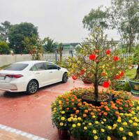Nhà vườn tổng dt 1400m2 huyện Châu Thành, Long An giá 4,2 tỷ