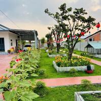 Nhà vườn tổng dt 1400m2 huyện Châu Thành, Long An giá 4,2 tỷ