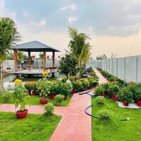 Nhà vườn tổng dt 1400m2 huyện Châu Thành, Long An giá 4,2 tỷ
